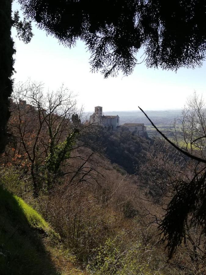 Hotel Villa Elda Assisi Esterno foto