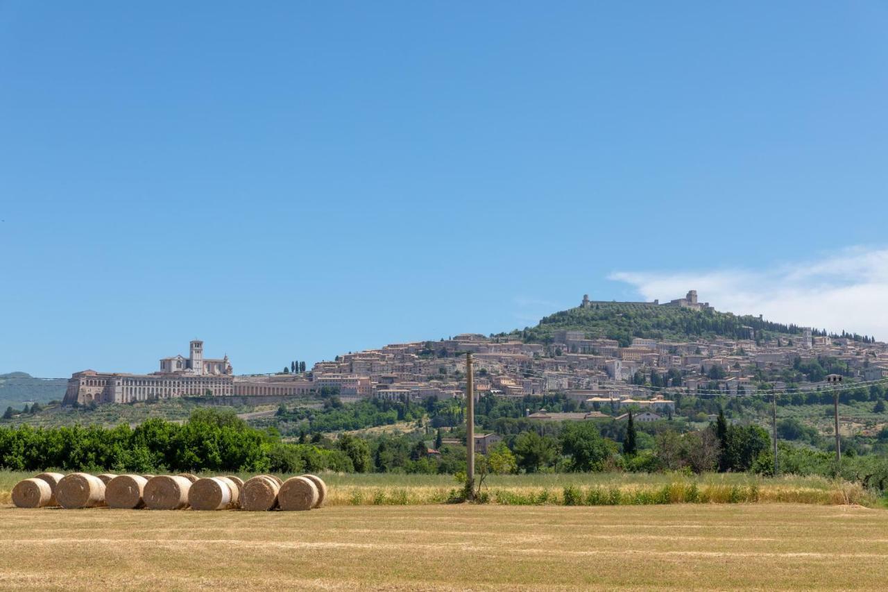 Hotel Villa Elda Assisi Esterno foto